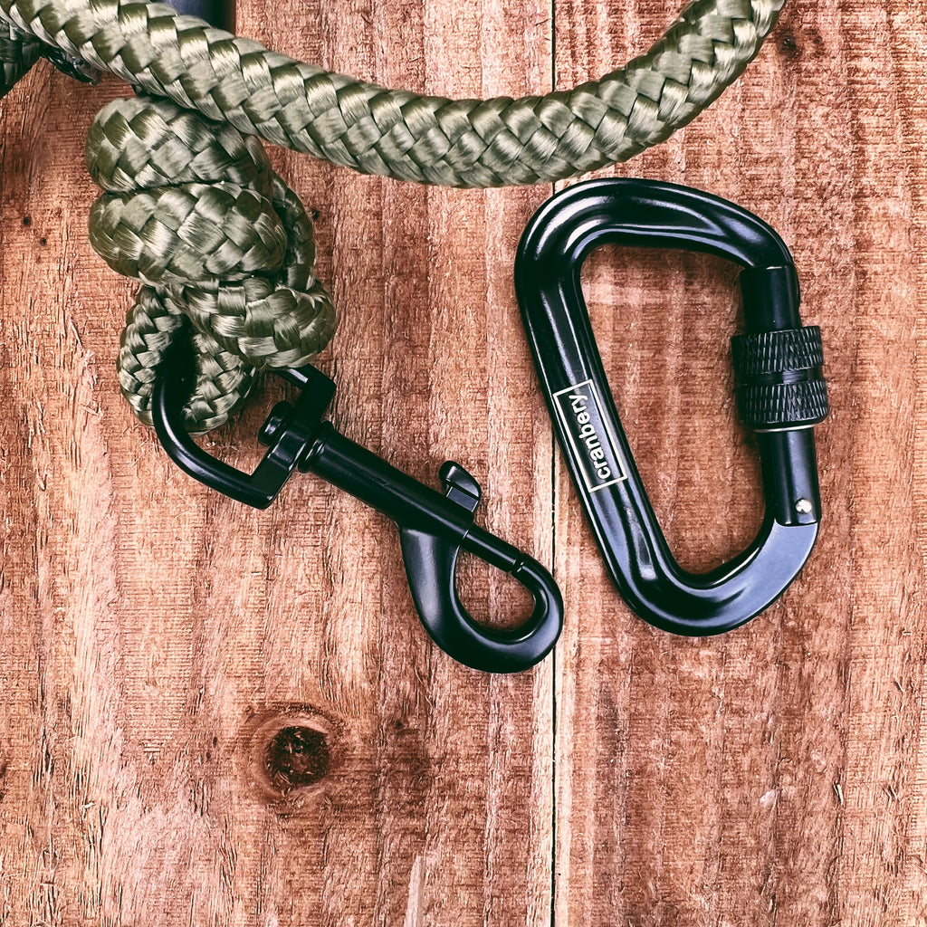 The Green Climbing Rope Dog Lead
