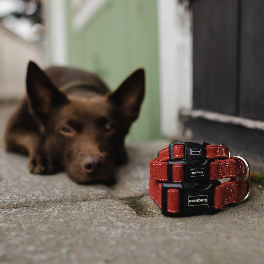 Hemp Collars (5 Colours)