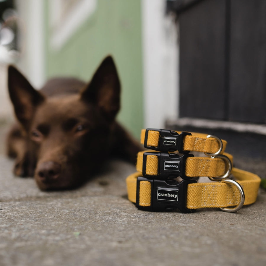 Hemp Collars (5 Colours)