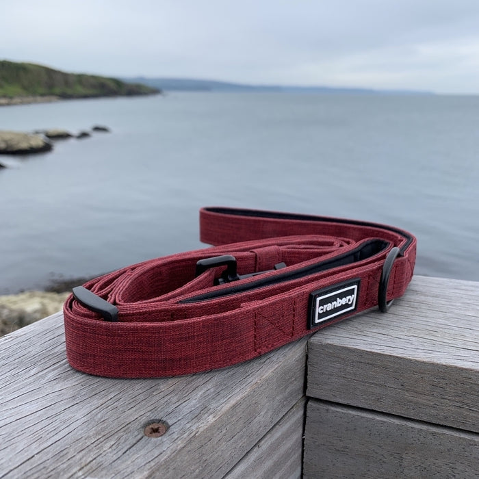 The Everyday Adventure Double Handle Dog Leash - Red