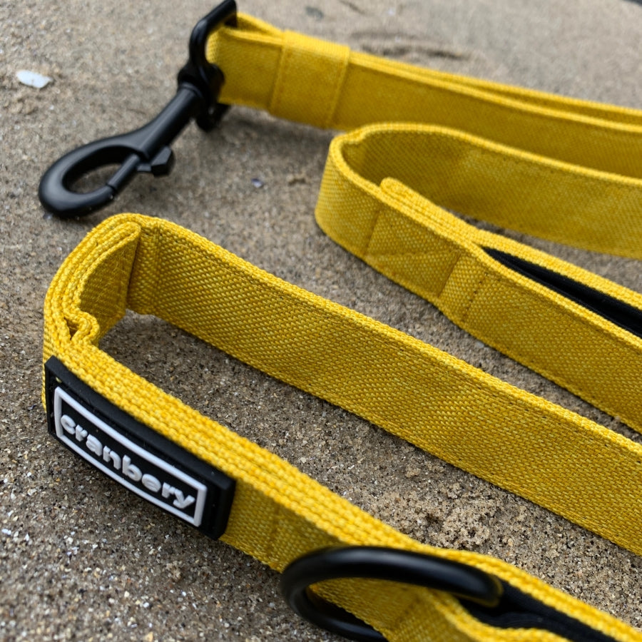 The Everyday Adventure Double Handle Dog Leash - Yellow