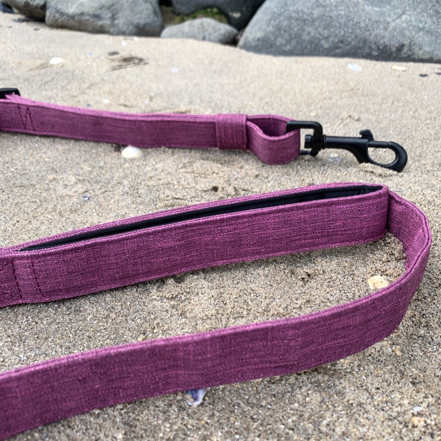 The Everyday Adventure Double Handle Dog Leash - Purple