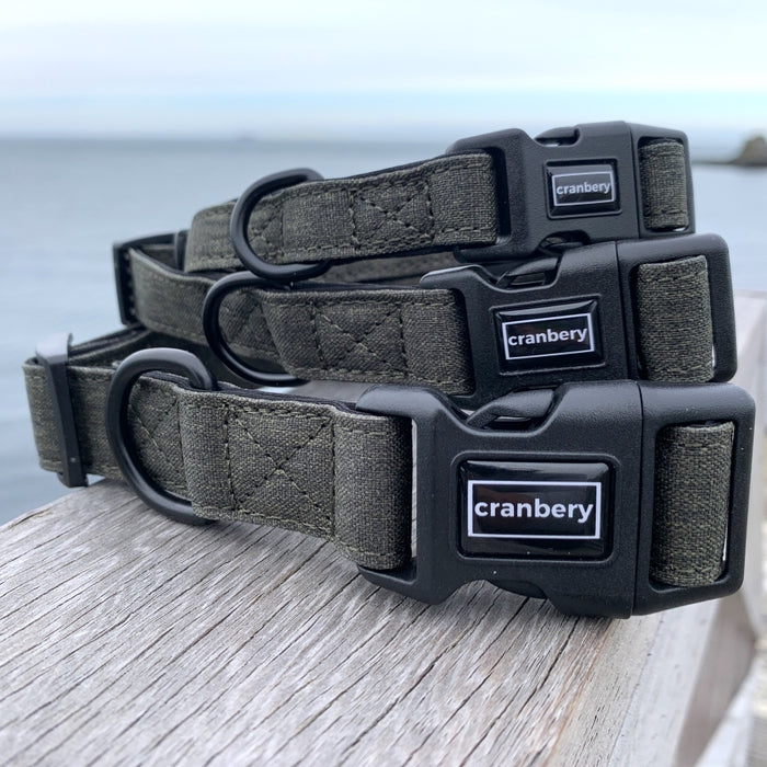 The Everyday Adventure Collar Green