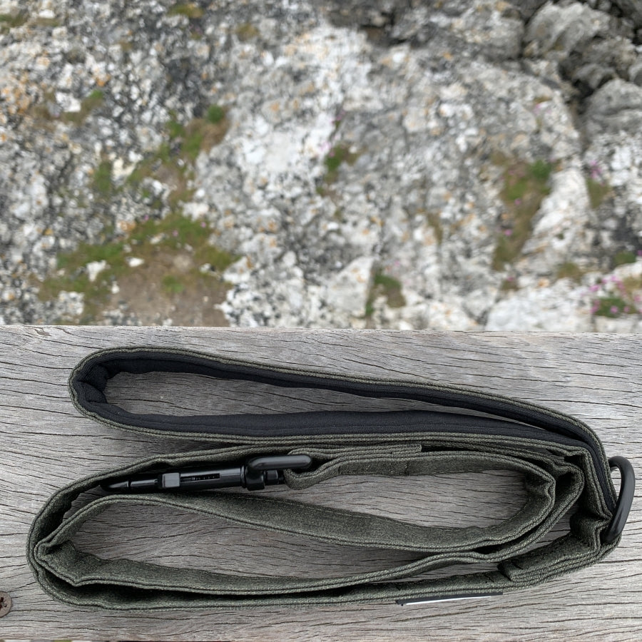 The Everyday Adventure Dog Lead Green
