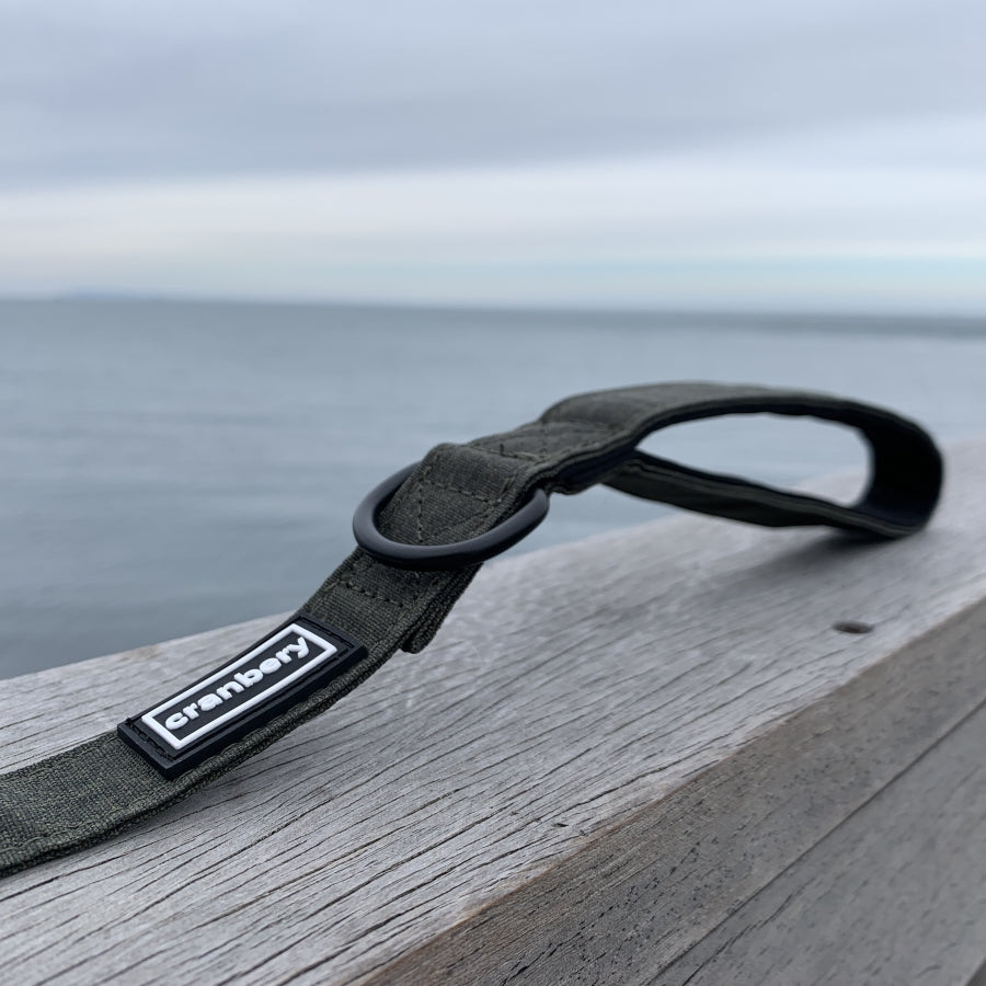 The Everyday Adventure Dog Lead Green