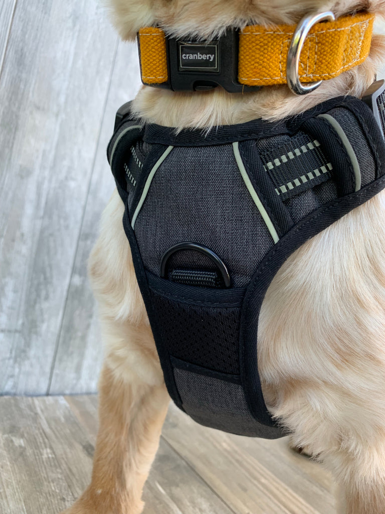 The Cranbery© No Pull Dog Harness