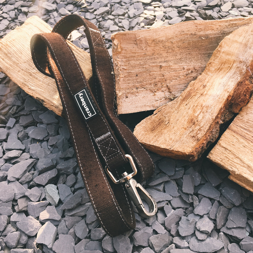 Brown Hemp Lead & Collar