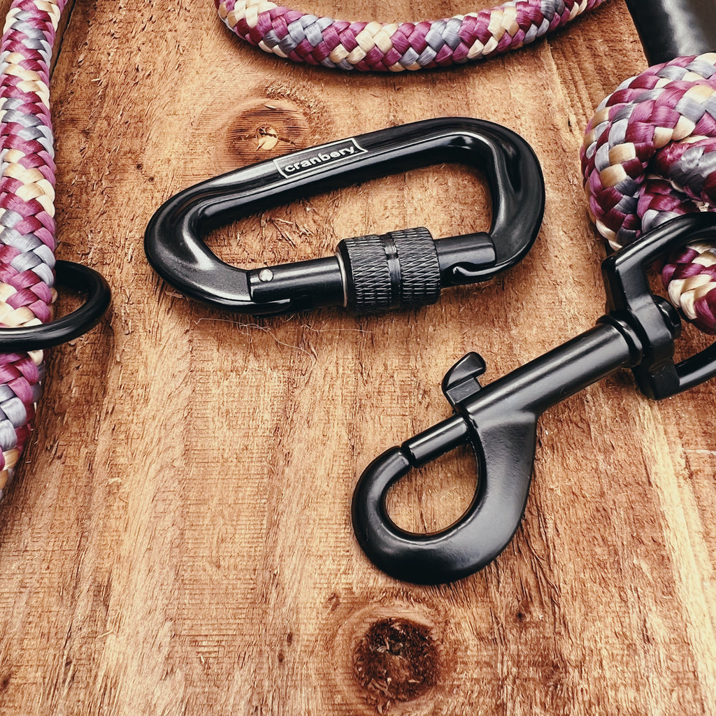 The Asami Climbing Rope Dog Lead