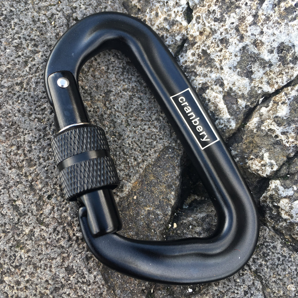 black carabiner screwgate