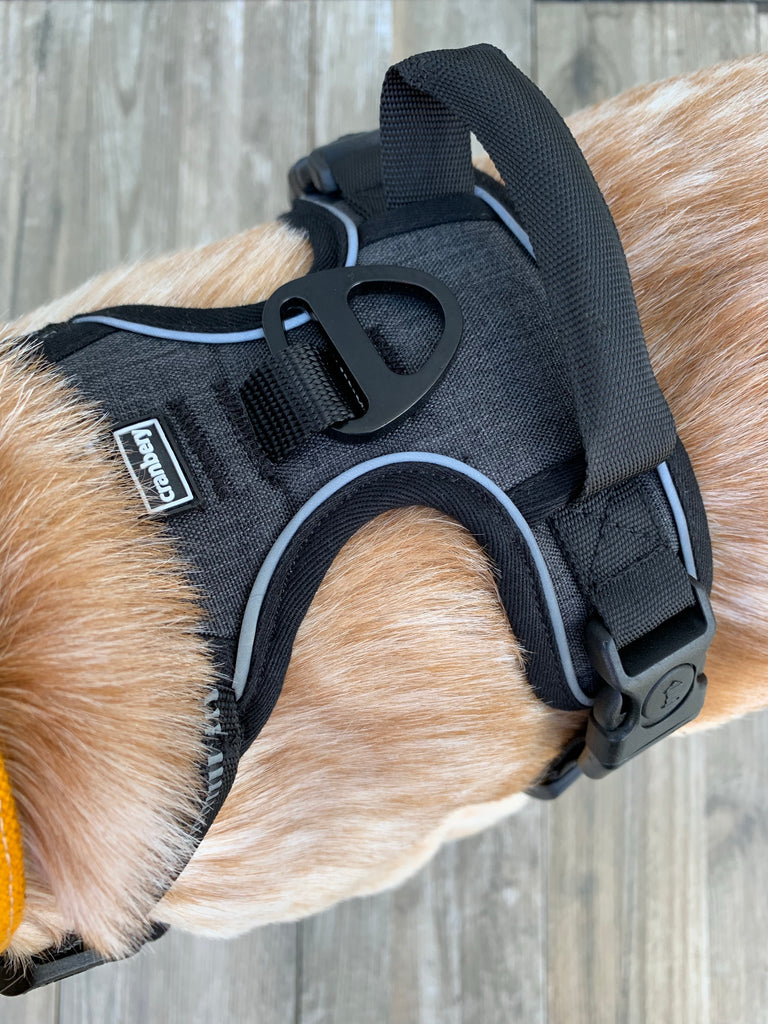 The Cranbery© No Pull Dog Harness