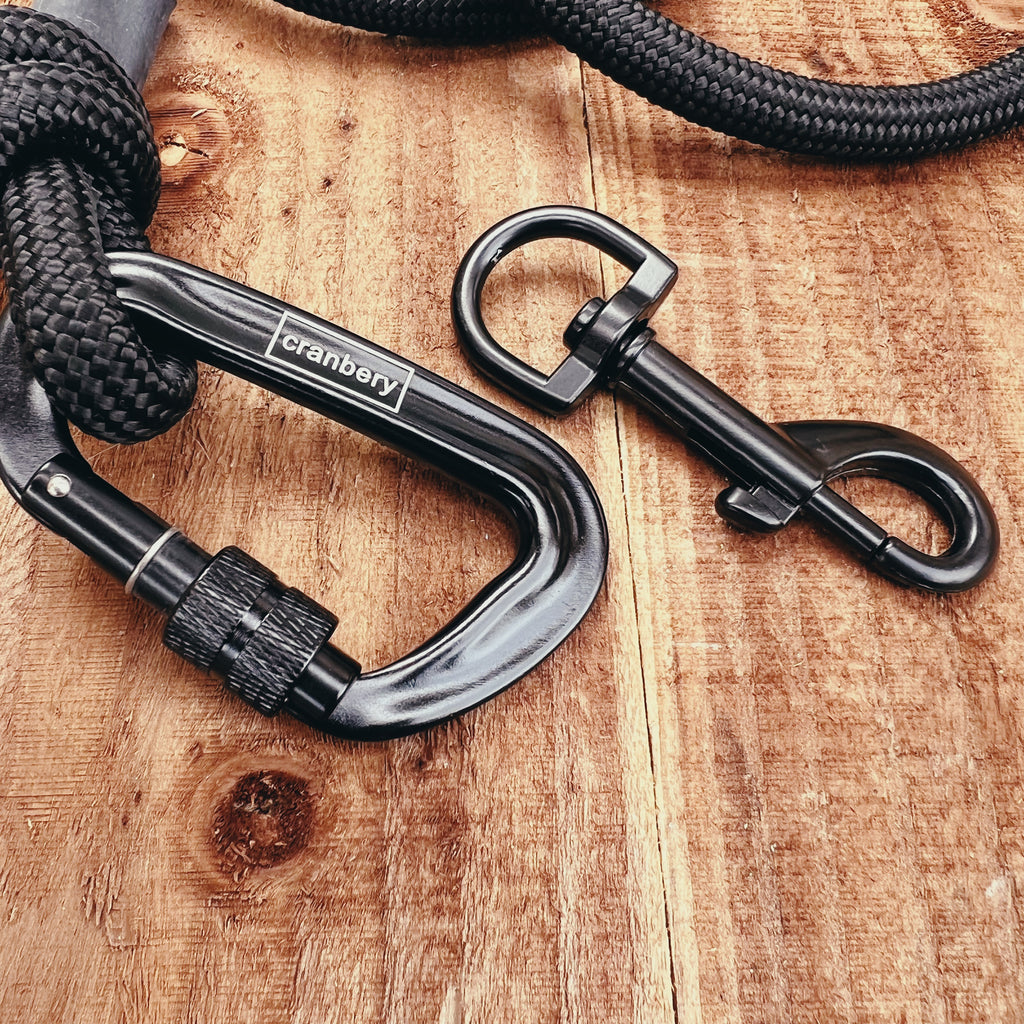 The Rubicon Climbing Rope Dog Lead (Exclusive)