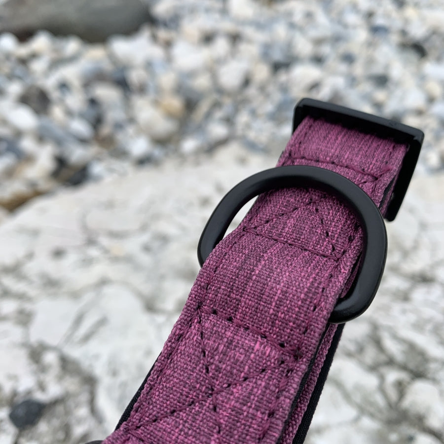 The Everyday Adventure Collar Purple