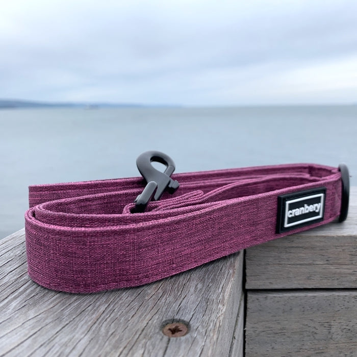 The Everyday Adventure Dog Lead Purple