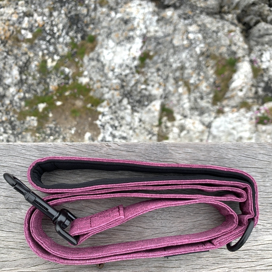 The Everyday Adventure Dog Lead Purple