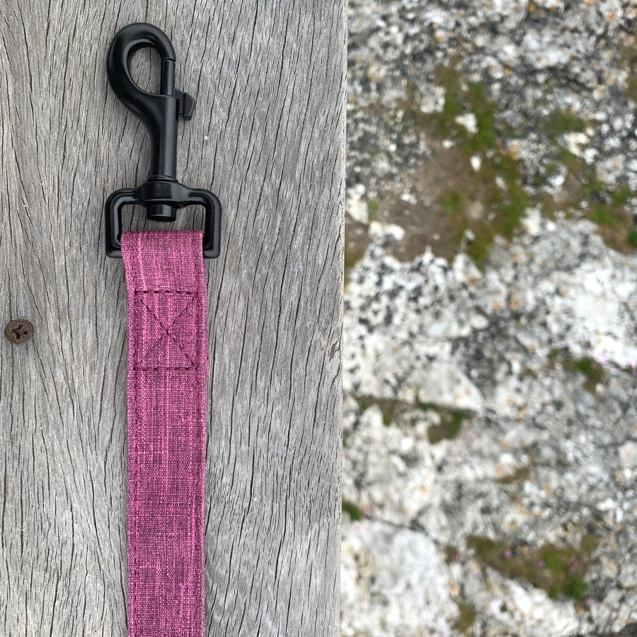 The Everyday Adventure Dog Lead Purple