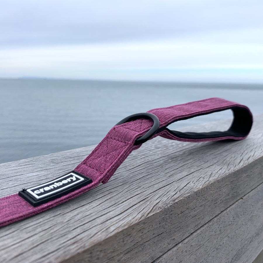 The Everyday Adventure Dog Lead Purple