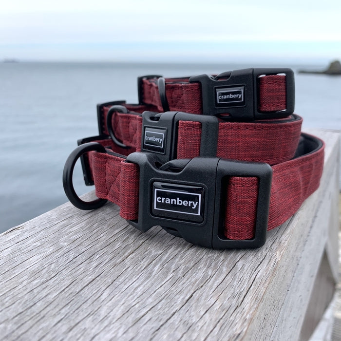 The Everyday Adventure Collar Red