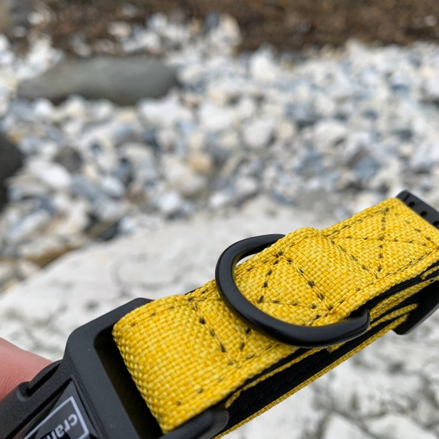 The Everyday Adventure Collar Yellow