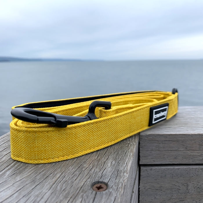 The Everyday Adventure Dog Lead Yellow