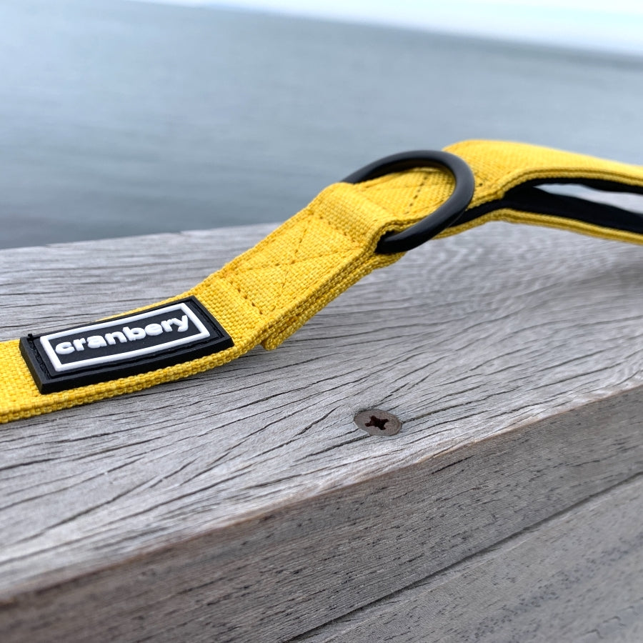 The Everyday Adventure Dog Lead Yellow